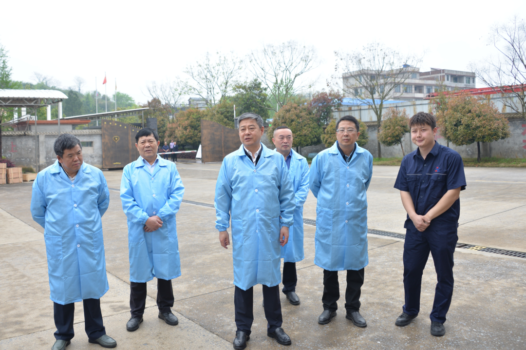 严华在市区和邵阳县调研督导粮食生产安全生产森林防火等工作