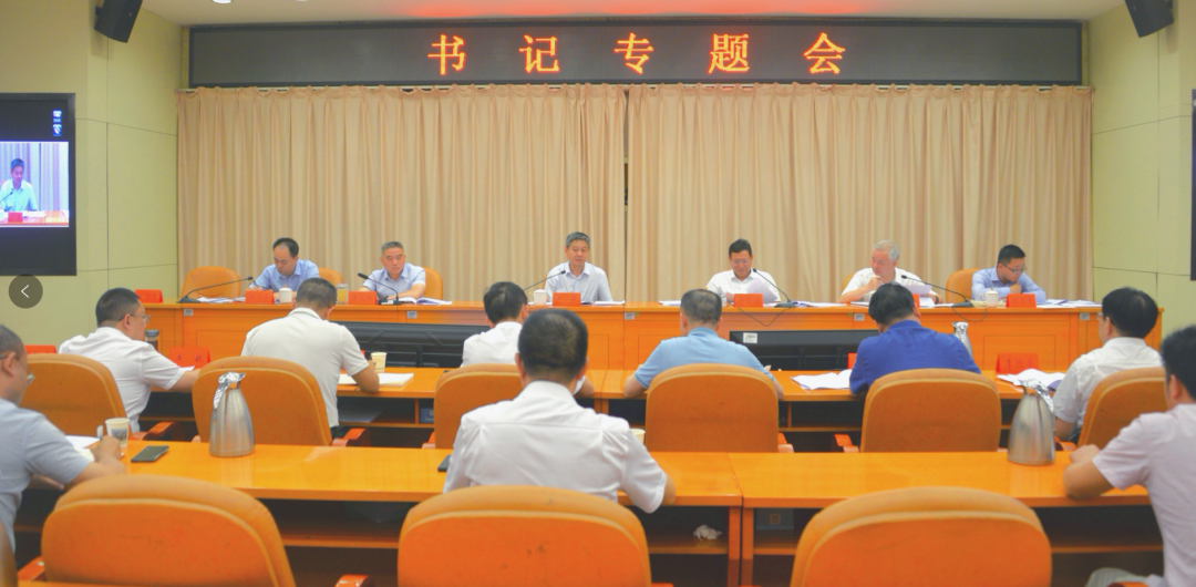 严华专题调度邵阳市地方政府专项债项目实施工作_邵阳头条网