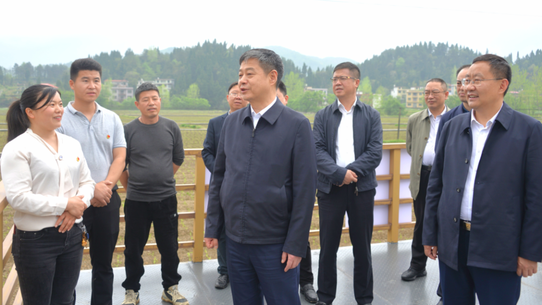 严华在隆回县调研督导春耕生产、项目建设和信访事项办理等工作_邵阳头条网