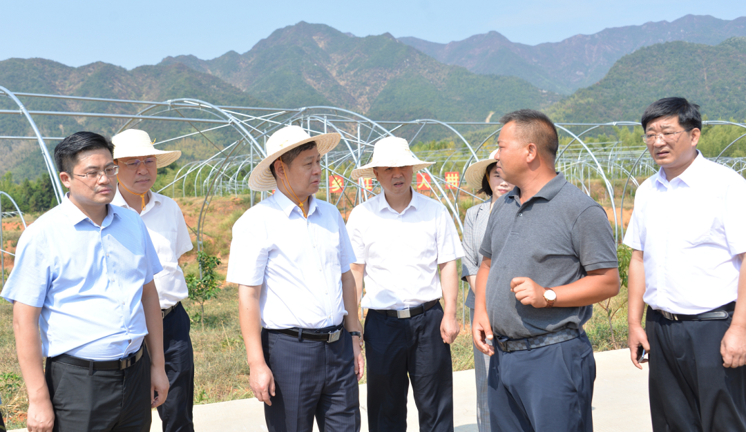 严华在城步苗族自治县调研：着力守底线保安全促发展 高质量完成全年目标任务_邵阳头条网