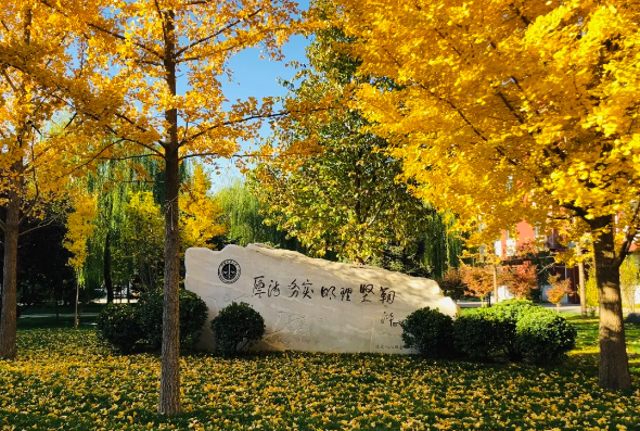 新知识学什么好_学会新知识_如何学新知识