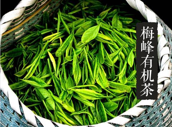 全国茶业研讨会即将在丽水召开,丽水香茶闻名全国|广西优质茶叶交流组