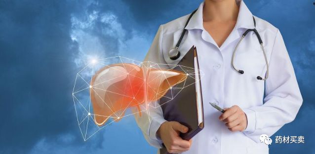 肝脏不好怎么办？养肝护肝的中药有哪些？