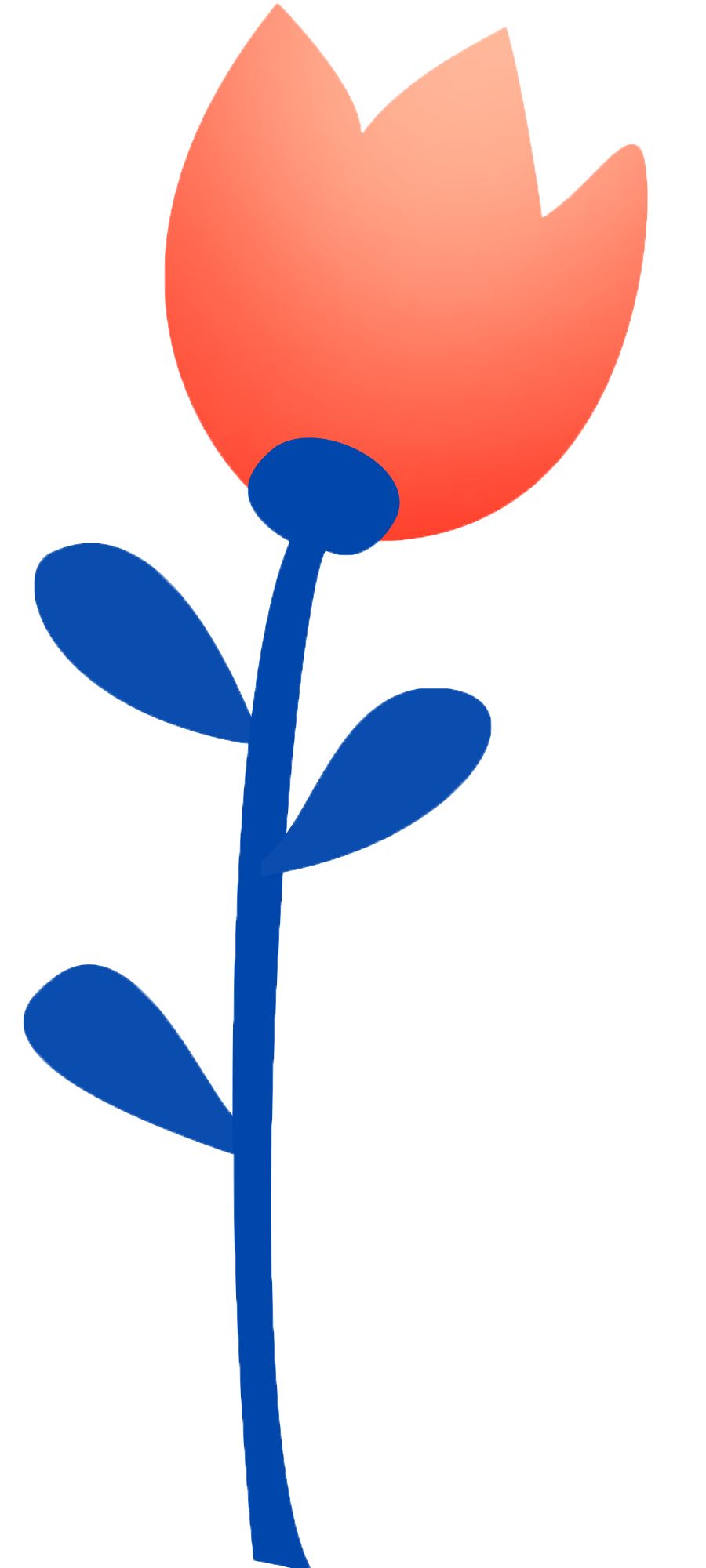 东北高校就业网_东北就业毕业大学生网信息查询_东北大学毕业生就业信息网