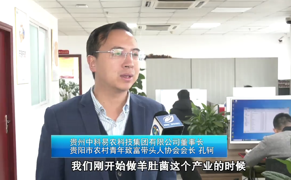 贵阳市农村青年致富带头人协会会长 孔轲:刚开始做羊肚菌产业的时候