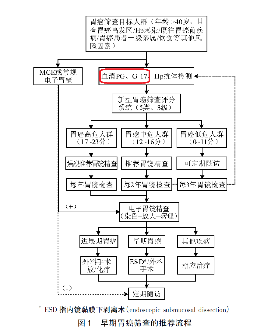 2021-11-29-透景诊断-防胃杜渐立足早筛-图3-早期胃癌筛查的推荐流程.png