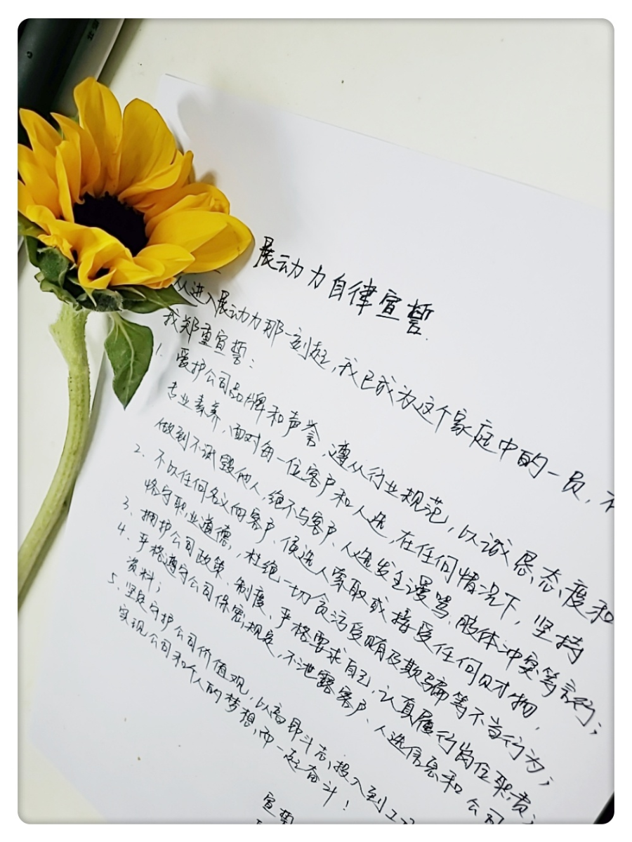 我们是这样的zdl人