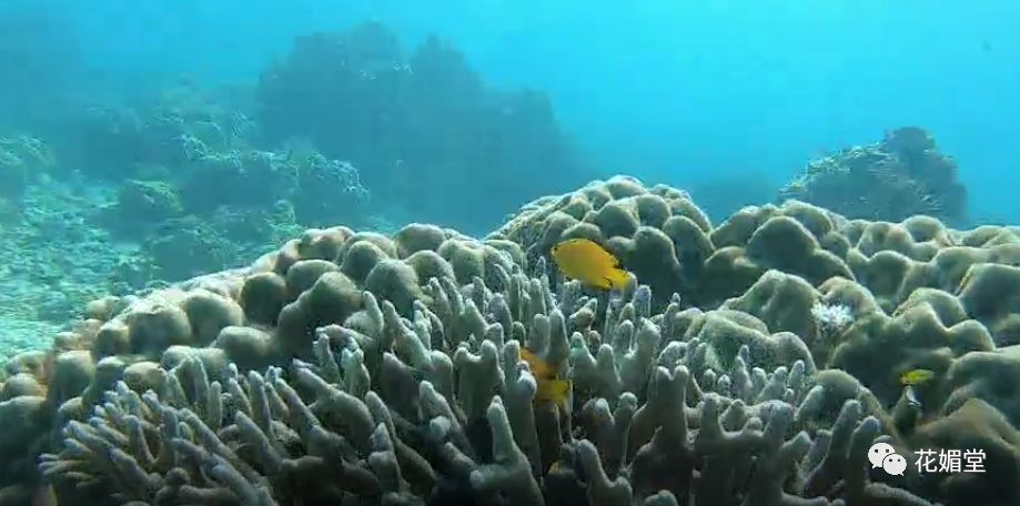 众证集团之——菲律宾行(图7)