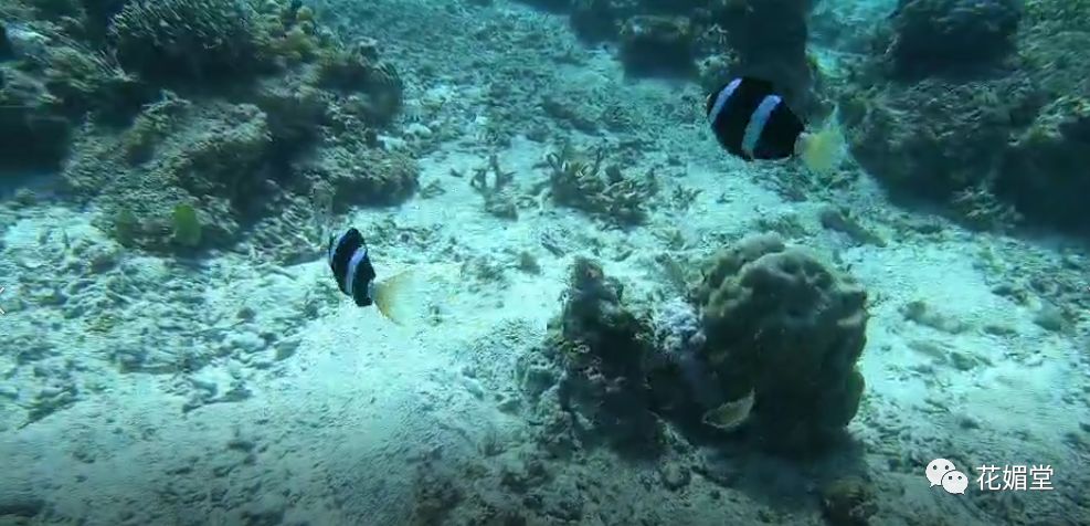 众证集团之——菲律宾行(图6)