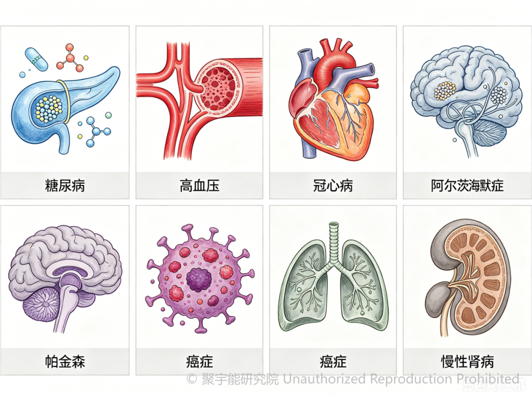当代岐黄医理科学解读（三十三）：被忽视的DNA损伤指标，为何如此关键？(图12)