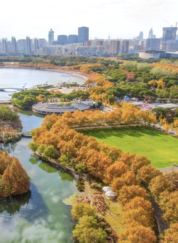 秋日佳酿醇厚浓烈浦东季节限定款美景错过等一年