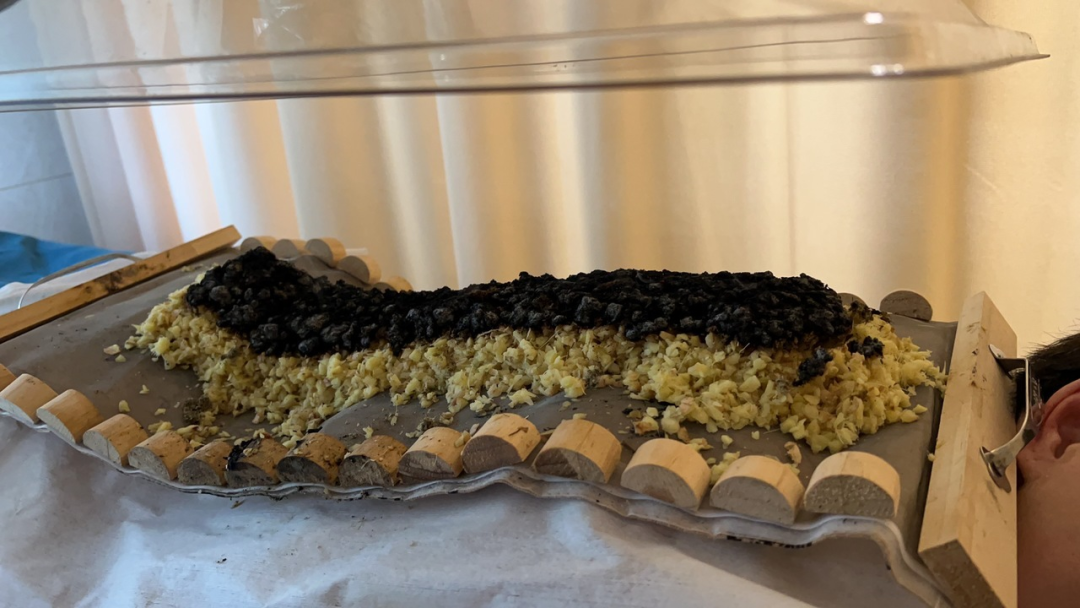 中药熏蒸床怎么熏蒸中药熏蒸床 ｜ 集中医智慧，体验科技养生新风尚，有失眠、老寒腿的快看过来！_https://www.jmylbn.com_新闻资讯_第13张