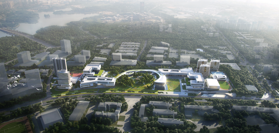 一期工程投资16.69亿，大湾区大学滨海湾校区启动勘察招标！