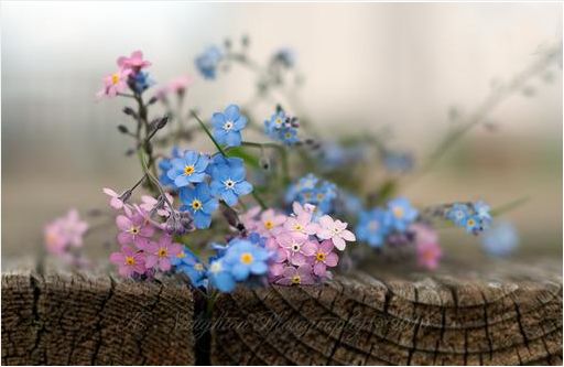 梦见家里起火什么预兆！