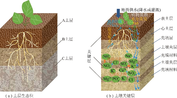 图5"土层生态位"和"土壤关键层"示意图图6土壤重构剖面优化设计方法
