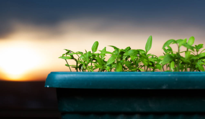 教您几招，打破白癜风逢春复发的魔咒！