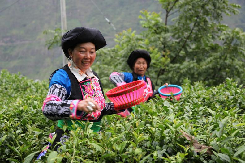 2025ལོའི་དཀར་མཛེས་ཁུལ་གྱི་གསར་འགྱུར་ཆེན་མོ་བཅུ། ༼ ༤ ༽