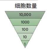 新应用 | 使用新型多反射Q-Tof平台探索单细胞脂质组学