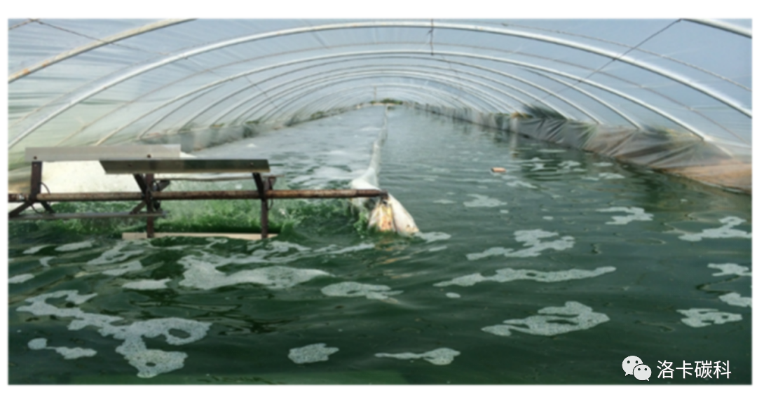 深度解析：碳捕集、利用与封存（CCUS）技术工艺及其适用性的图11