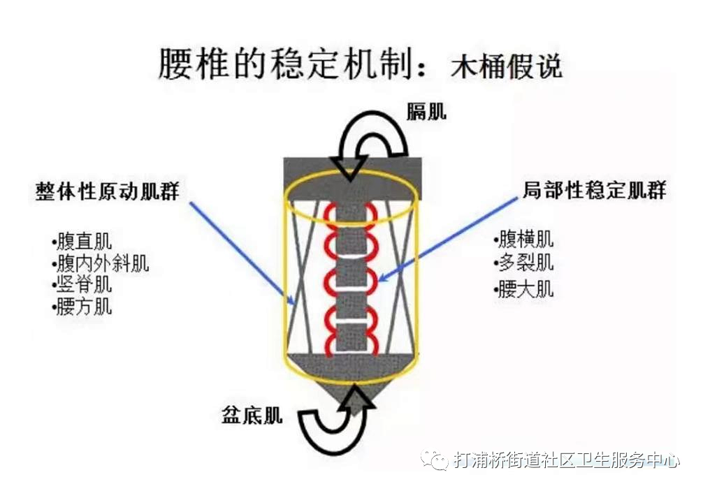 悬吊训练系统 怎么装阿圈科普系列之——康复科新武器“SET”悬吊训练系统_https://www.jmylbn.com_新闻资讯_第10张