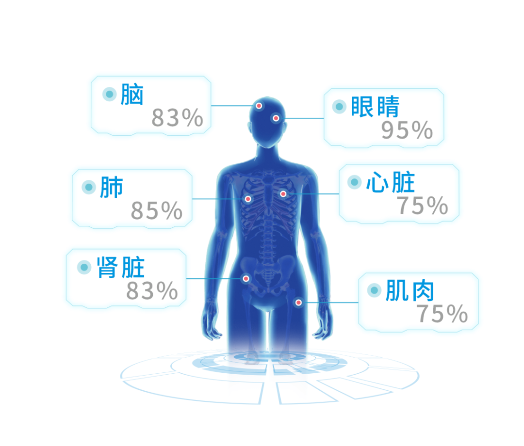血液占人体体重的多少_水占人体的百分之多少_成语玩命猜人体败占