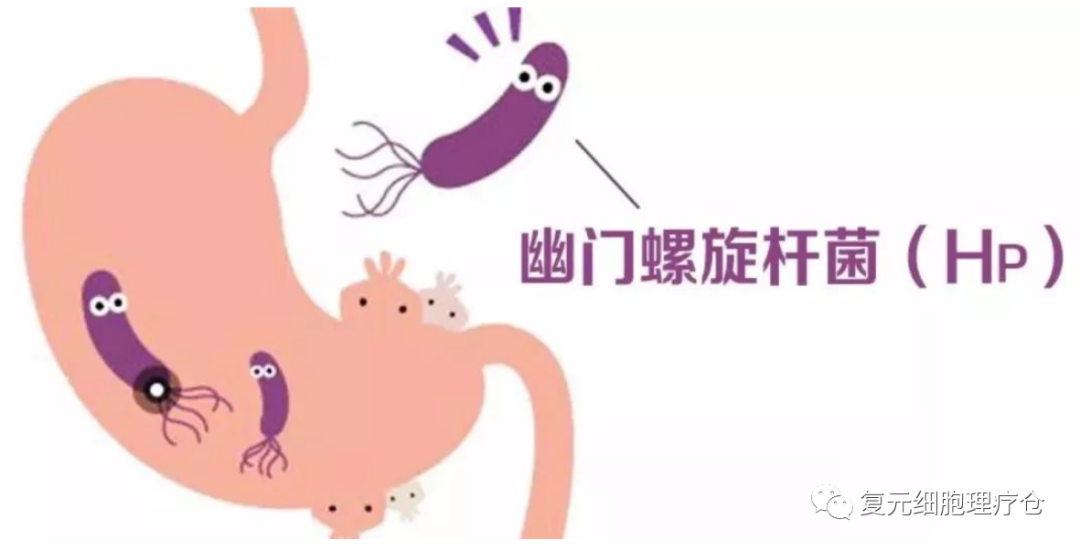 什么理疗仪器治胃病吃饭前后肚子痛？可能是虚寒，老胃病？_https://www.jmylbn.com_新闻资讯_第3张