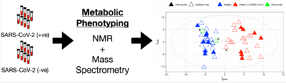穩(wěn)定同位素標(biāo)記的氨基酸混合物在質(zhì)譜定量分析中的應(yīng)用