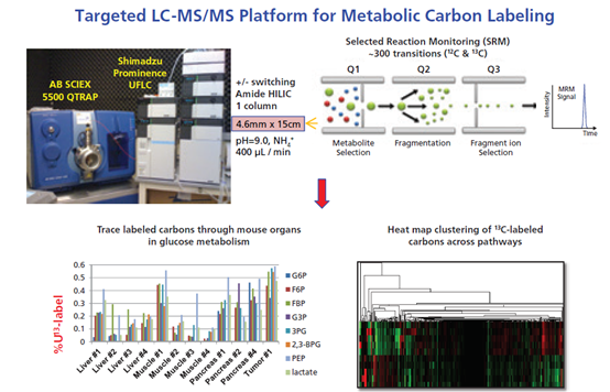 稳定同位素在代谢流分析中的应用