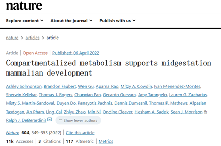 稳定同位素在代谢流分析中的应用