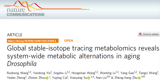 稳定同位素在代谢流分析中的应用
