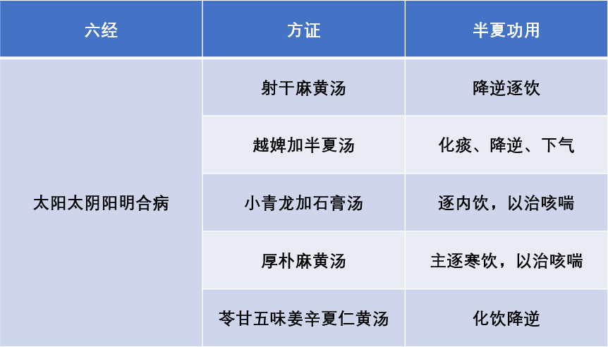 大柴胡汤加石膏图片