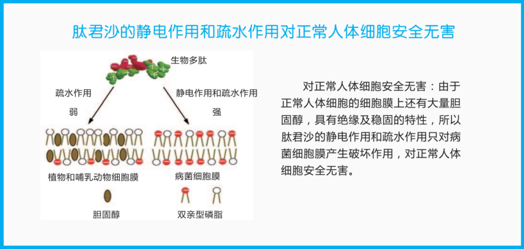 口腔敷料要怎么用破局！百万放化疗患者诉求，这款耗材火了！_https://www.jmylbn.com_新闻资讯_第11张