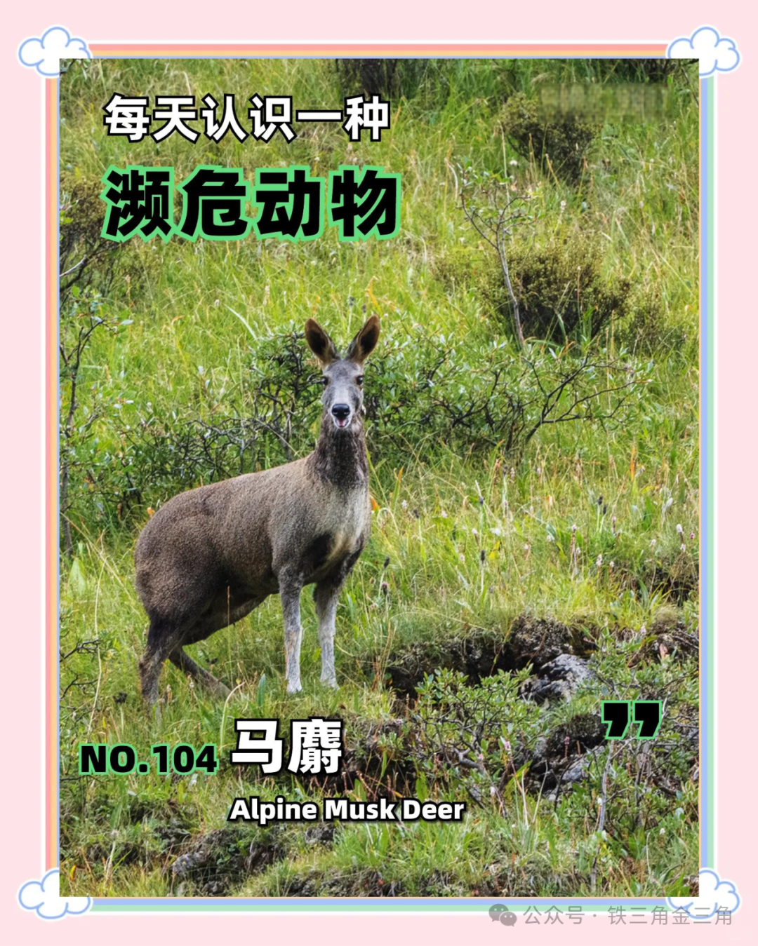 五年佳期已过，“国家重点保护野生动物名录”要凉凉？