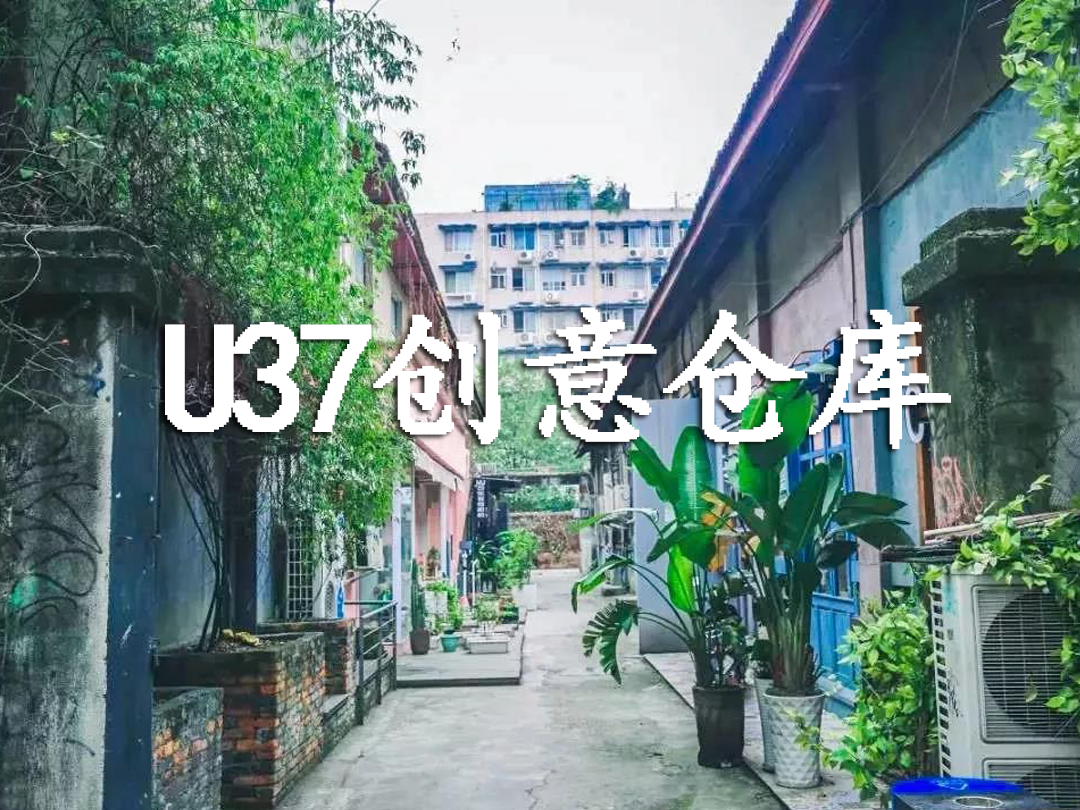 你好，這裡是成都！ 旅遊 第184張