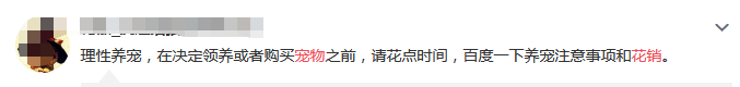 每個月一半薪水花在狗身上，富養寵物值不值？網友吵翻了 萌寵 第12張