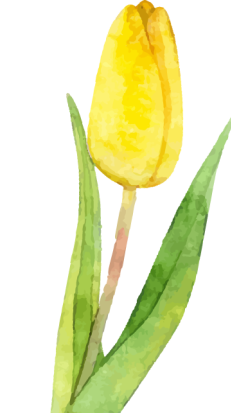 640 (1).png