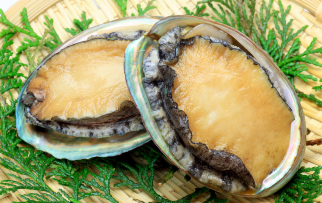 版本的,反而有好多种,比如有按产地分的山八珍,海八珍,水八珍,陆八珍