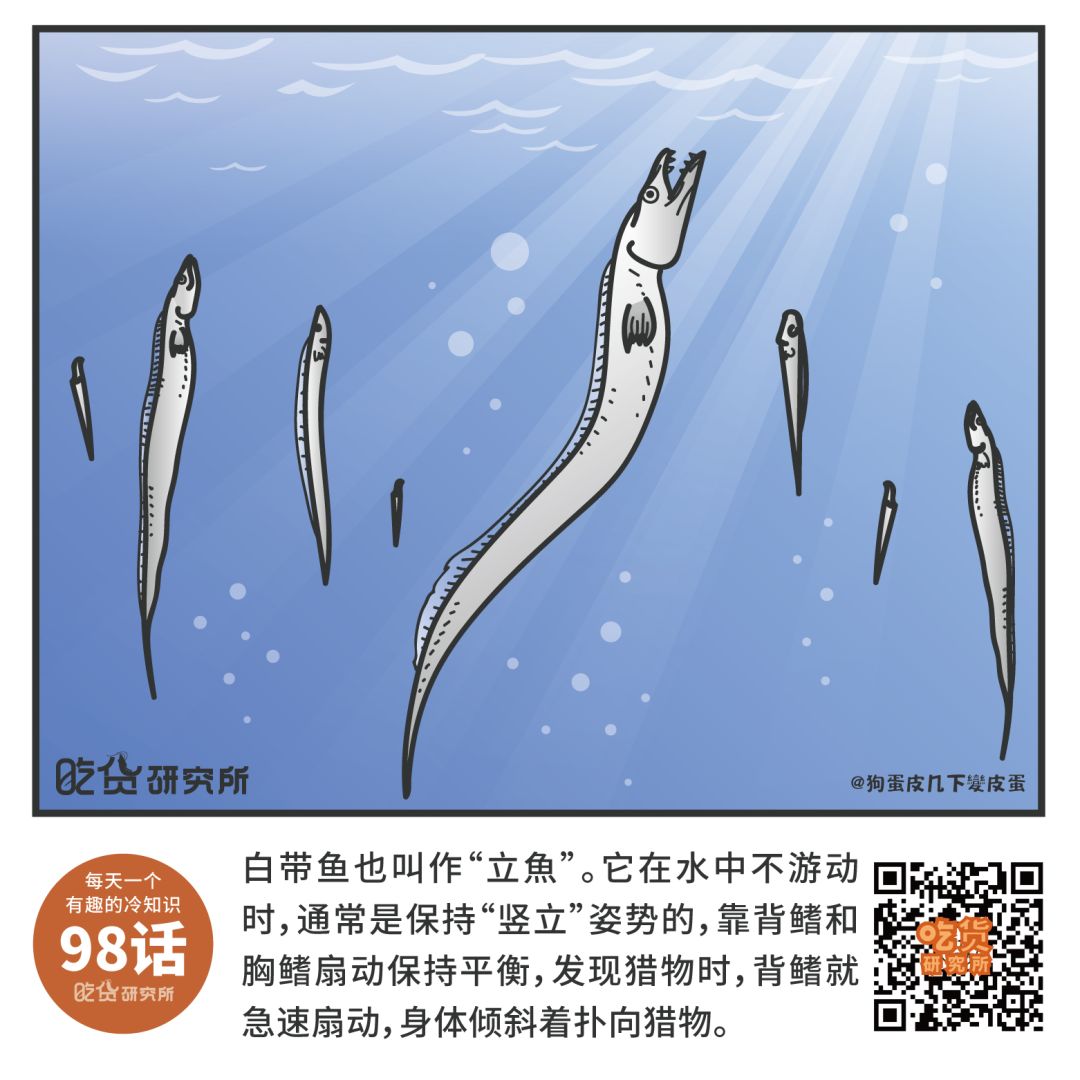 每天一个冷知识| 果壳 科技有意思