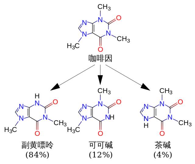 茶和咖啡，到底哪个更提神？哪种茶咖啡因比较少？