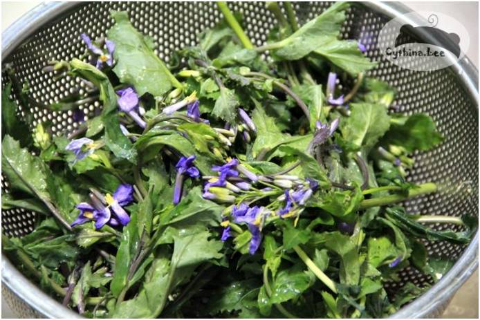 春光正漾花正开花开当吃直须吃