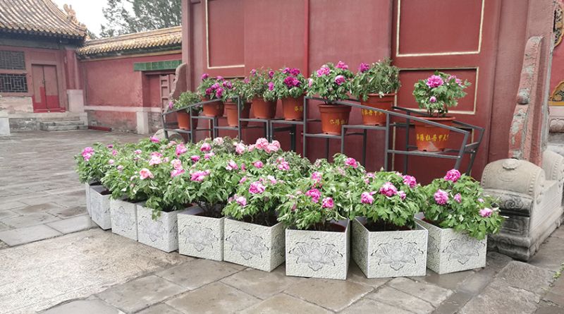 QQ截图20180514112454.png