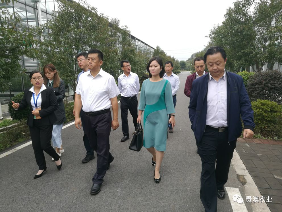 乐虎国际APP