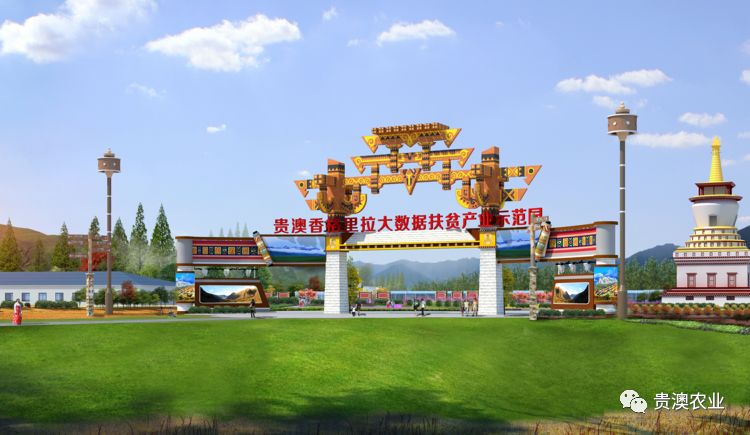 贵澳