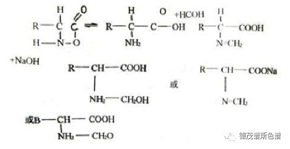 氨基酸總量(氨態氮)的測定