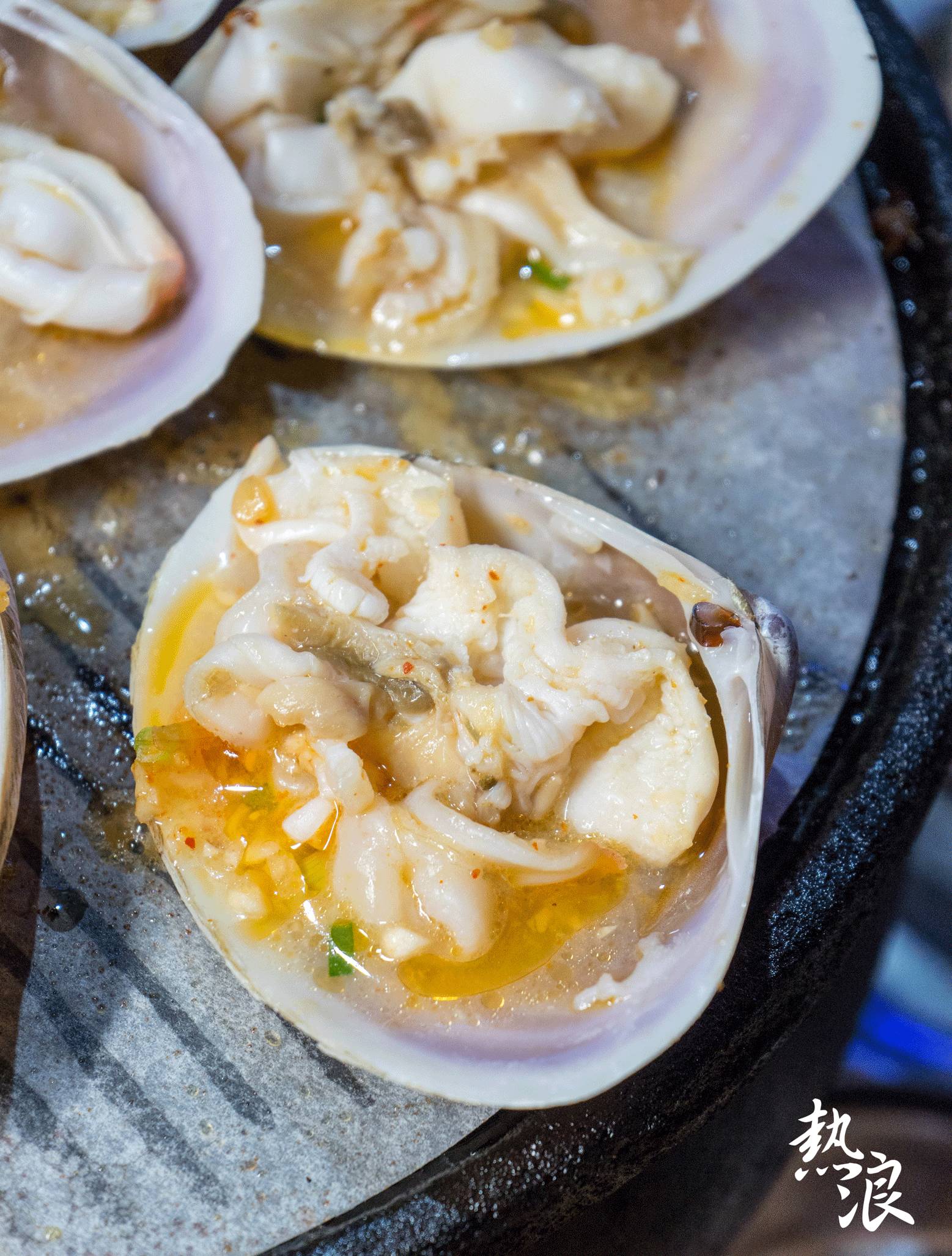 鸿记夏日重磅新品贵妃贝!每一只都有虎门bb的手掌那么大!