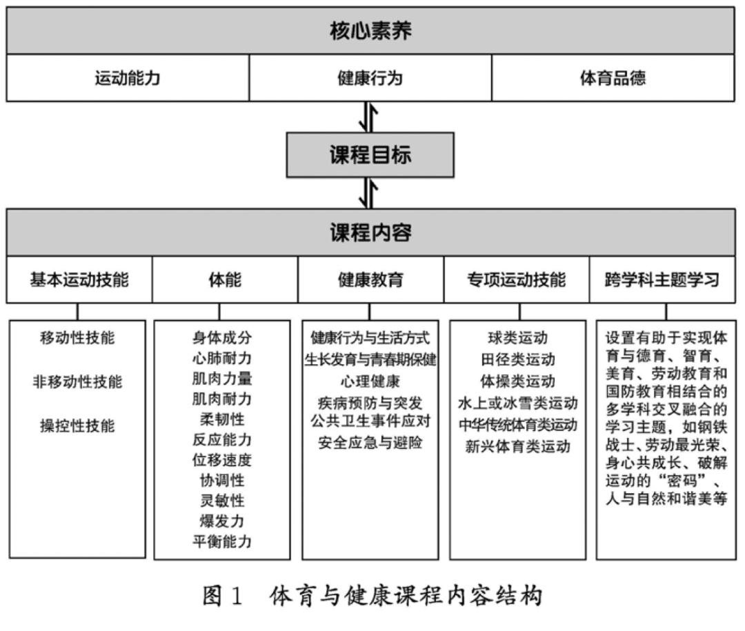 体育,终于成为「主科」!