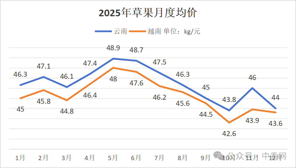 草果连续四年减产！价格何时起飞？