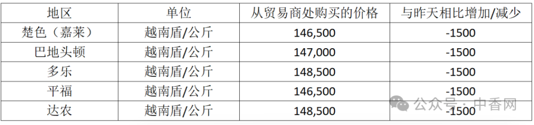 【越南胡椒】洪水影响有限，越南胡椒进入结实期！