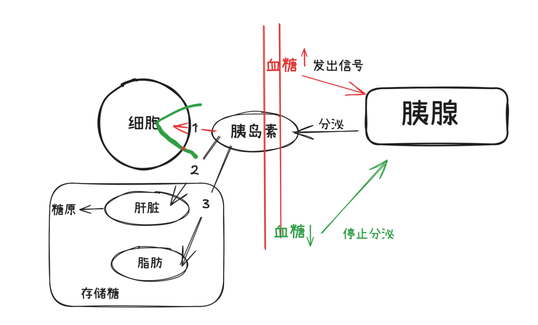 image-3