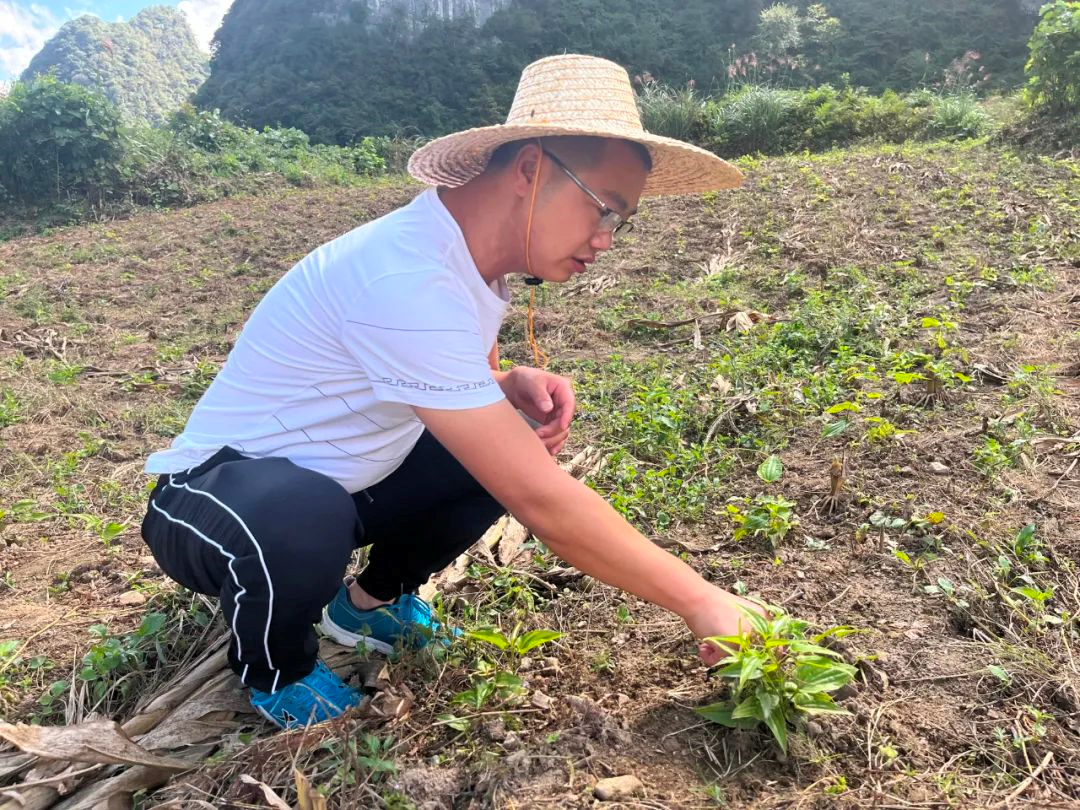 鄉村振興第一線熊樹林水鄉挑重擔創新促振興